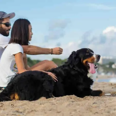 Casa Frente Al Mar En 2hab Nyaraló